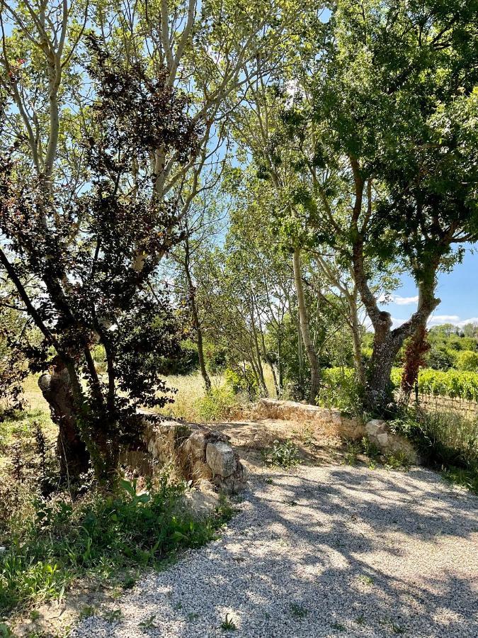 La Soleillade Aixoise Bed and Breakfast Αιξ-αν-Προβάνς Εξωτερικό φωτογραφία